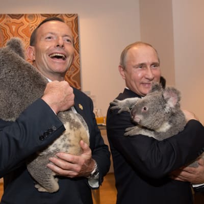 Kaksi miestä ja kaksi koalaa
