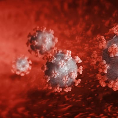Illustrationsbild på coronavirus inne i blodomloppet.