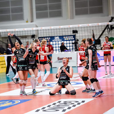 Volleybollspelare firar seger.