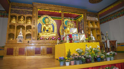 Altaret i Dharma-centret Danakosh i Jockis.