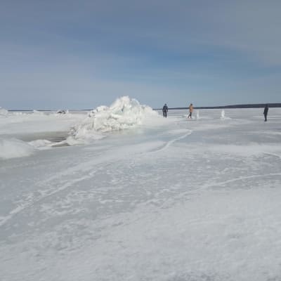 Railo ja sen pystyyn nousseet reunat Näsijärvellä maaliskuussa 2022.