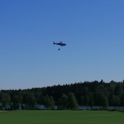 En helikopter flyger med vatten över skogen. 