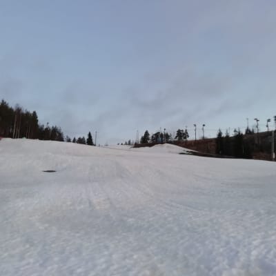 Matti Peltonen