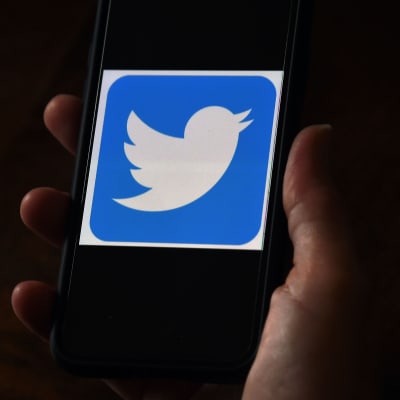Twitters logo på en telefonskärm.