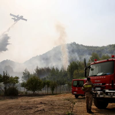 Flygplan släcker skogsbrand från luften, brandbil med brandbekämpare i förgrunden. Fotograferat i Koskinas i Grekland.