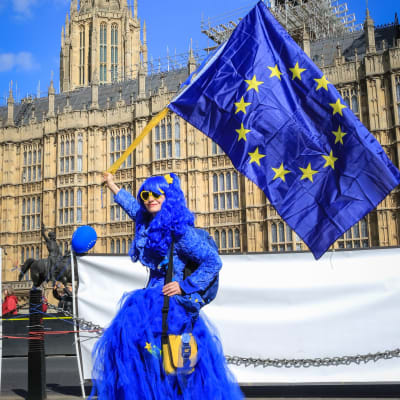 EU-förespråkare viftar med EU-flaggan utanför den brittiska parlamentsbyggnaden i Westminster.