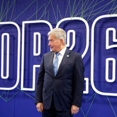 Sauli Niinistö
