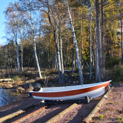 En vitröd motorbåt framför en strand med träd i bakgrunden.