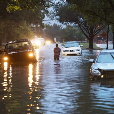 Bilar har fastnat i vattnet på  Dairy Ashford Drive i Houston.