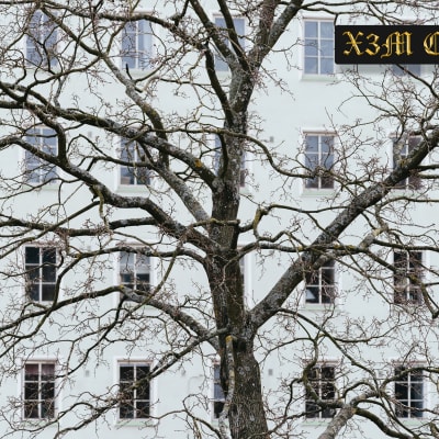 En höghusfasad med ett stort träd framför sig.