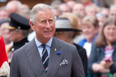 Kung Charles III i grå kostym och en blåklint på kragen. Suddig publik i bakgrunden.