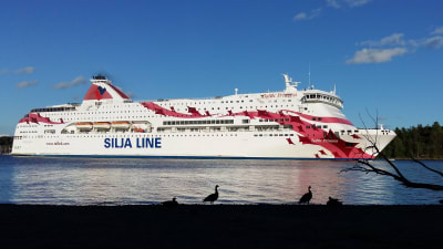 M/S Baltic Princess åker förbi Runsala folkpark på väg från Åbo till Stockholm.