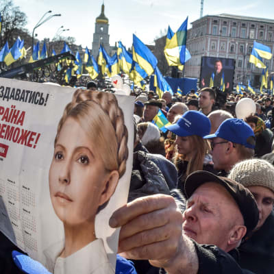 Valkampanj i Ukraina