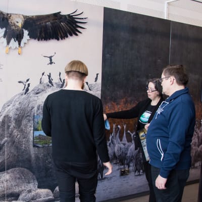Tre personer tittar på en utställning om Kvarkens världsarv
