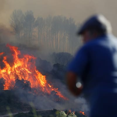 En man tittar på en skogsbrand nära staden Gignac i Frankrike den 26 juli 2022.