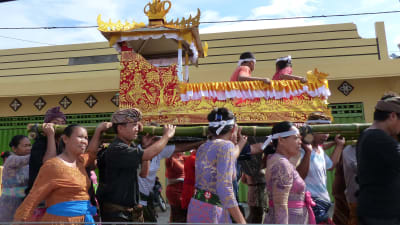 begravningsceremoni i Bali. En färggrant prydd kista bärs på närmare tio personers axlar genom byns gata.