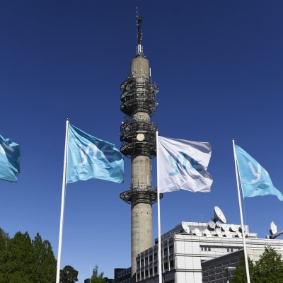 Yle i Böle och Yleflaggor