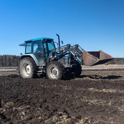 Perunanviljelijä Sami Tapanainen kyntää traktorilla peltoa Savitaipaleella.