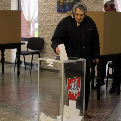 En väljare i Birzai, Litauen i parlamentsvalets andra omgång 23.10.2016