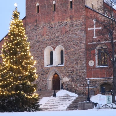 En stor julgran med ledlampor framför Åbo domkyrka. 