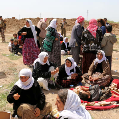 JIhadistgruppen IS håller fortfarande 3 200 kidnappade yazidiska kvinnor och barn som sexslavar. IS har frigett äldre kvinnor och män som dessa i Irak mot stora lösensummor