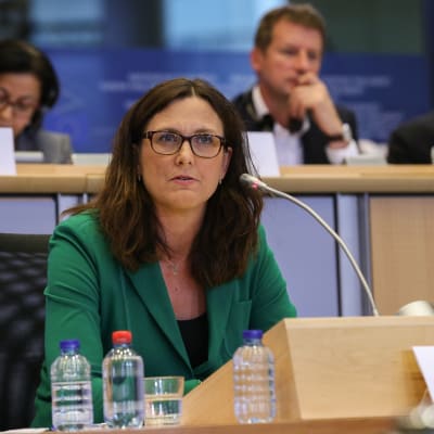Blivande kommissionären Cecilia Malmström hörs i EU-parlamentets handelsutskott.
