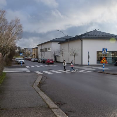 Två flickor och en hund går över Fredsgatan vid Lyceiparkens skola i Borgå.