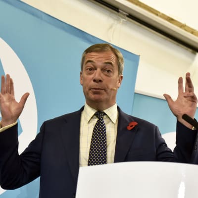 Brexit-puolueen johtaja Nigel Farage puhui vaalitilaisuudessa Walesissa Pontypoolin kaupungissa 8. marraskuuta.