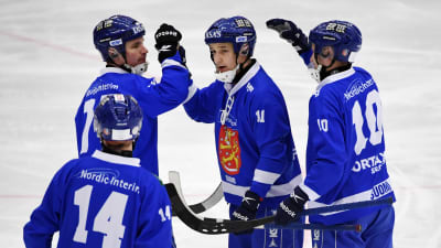 Finlands spelare firar mål