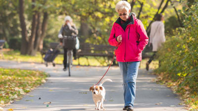 En äldre kvinna går i en park med en hund. I bakgrunden syns en person cykla. 