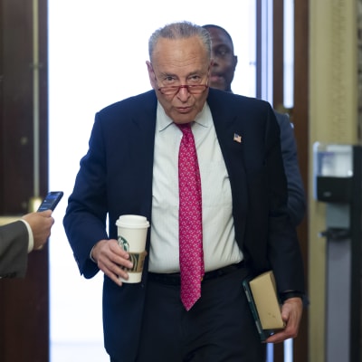 Senatens majoritetsledare demokraten Chuck Schumer