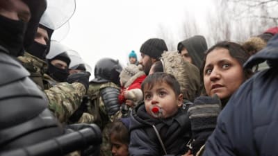 Flyktingar står mitt emot polsk militär vid gränsen Belarus–Polen.