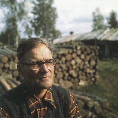 Kirjailija Kalle Päätalo tukkipuupinojen edessä