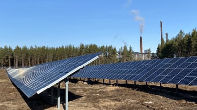 Solpaneler på rad. 
