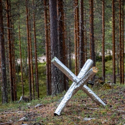 Hopeanhohtavalla foliolla päällystettyjä puita ristissä, taideteos