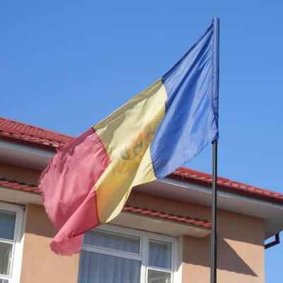Den moldaviska flaggan