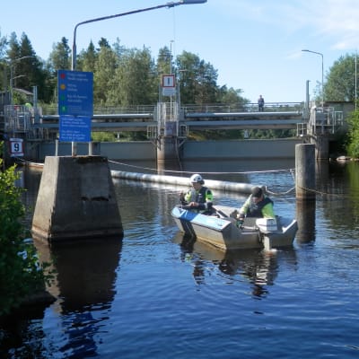 Slussen vid Gertruds i Larsmo är öppnad på nytt