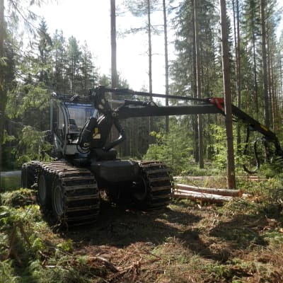 Skördare i skogarna i Purmo