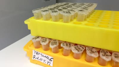 DNA-prov som har analyserats och väntar på att frysas ner igen.
