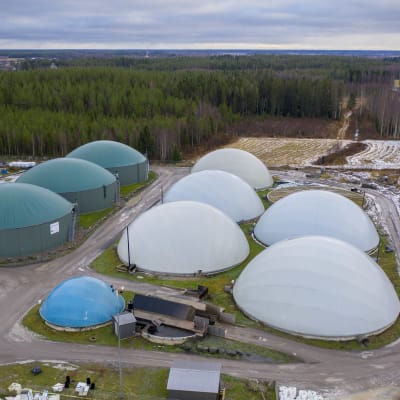 Jepuan biokaasulaitoksen vihreissä säiliöissä on biokaasua ja valkoisissa prosessissa syntyvää lannoitetta. 