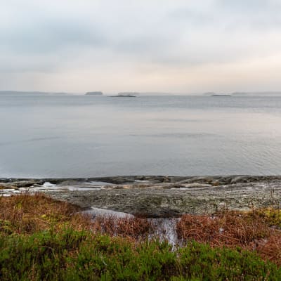 Klippor och du ser över ett dimmigt och grått hav. Ljung växer i förgrunden.
