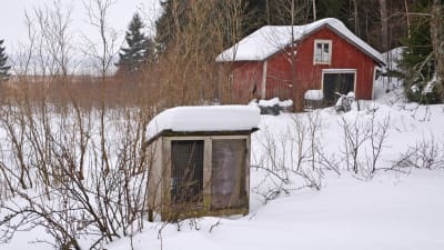 En bur för fåglar med träväggar står på en snötäckt gård. I bakgrunden synns ett rött uthus.