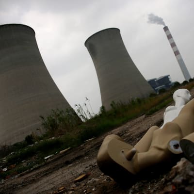 kärnkraftverk i shanghai