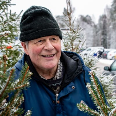 Bo-Johan Johansson bland sina julgranar