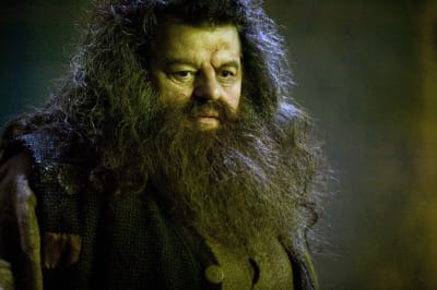 Rubeus Hagrid.