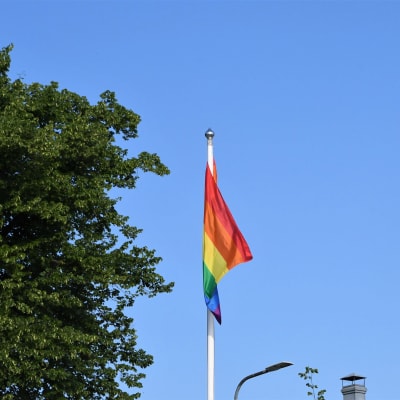 På bilden ser man en prideflagga.
