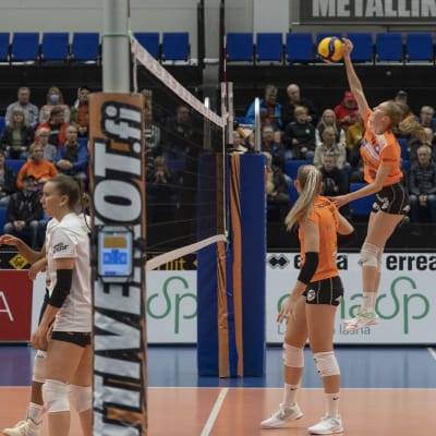 Oranssiasuinen lentopalloilijanainen hyppää ja lyö palloa verkolla.