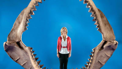 Enorm käke av Megalodon-haj med blå bakgrund. En blond kvinna står inne i skelettgapet.