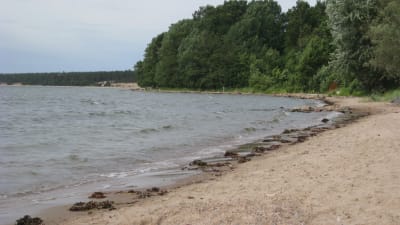 Sandstranden i Lappvik som hela tiden förlorar sand