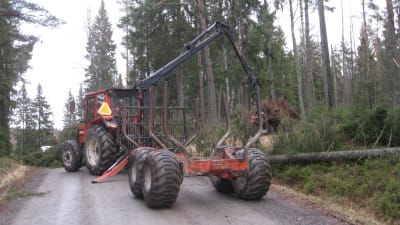 Träd som fallit i stormen Dagmar tas bort i Manngård.